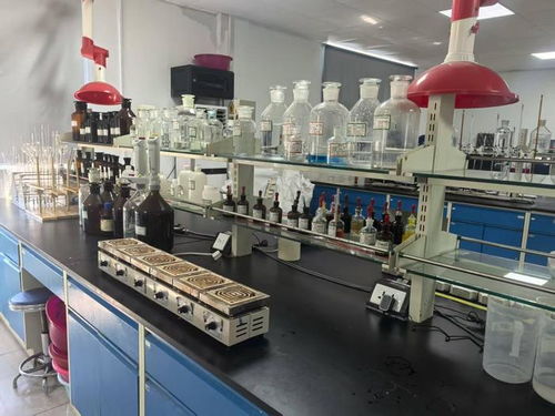 黑龙江玉米的黄金链 深加工产品以技术开发赢得国际高身价