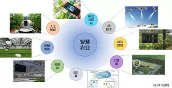 互联网+农业 中国农业电商的春天真的来了